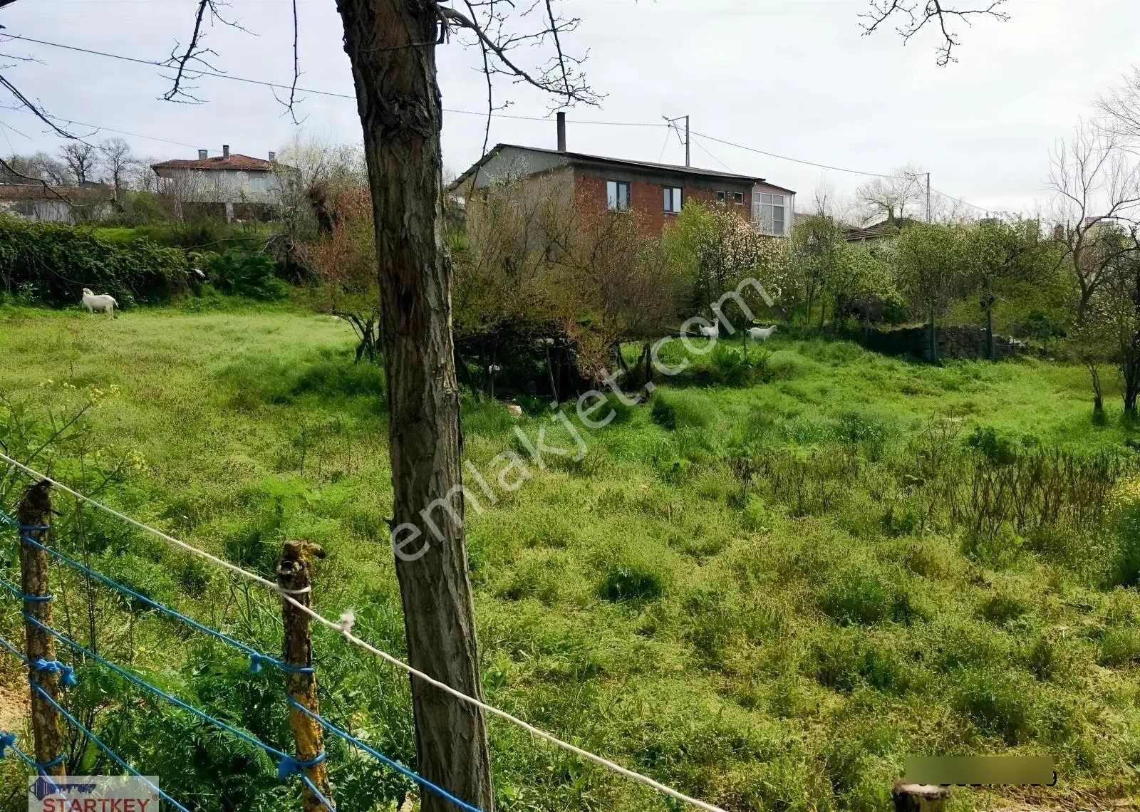 Pehlivanlar Diyarı Kurtdere'de Satılık Kargir Ev Ve Arsası - Görsel 26