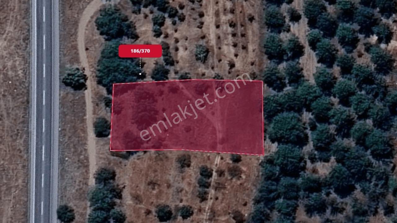 Remax Toros'tan Niğde Ulukışla Beyağıl'da Satılık Bahçe - Görsel 8