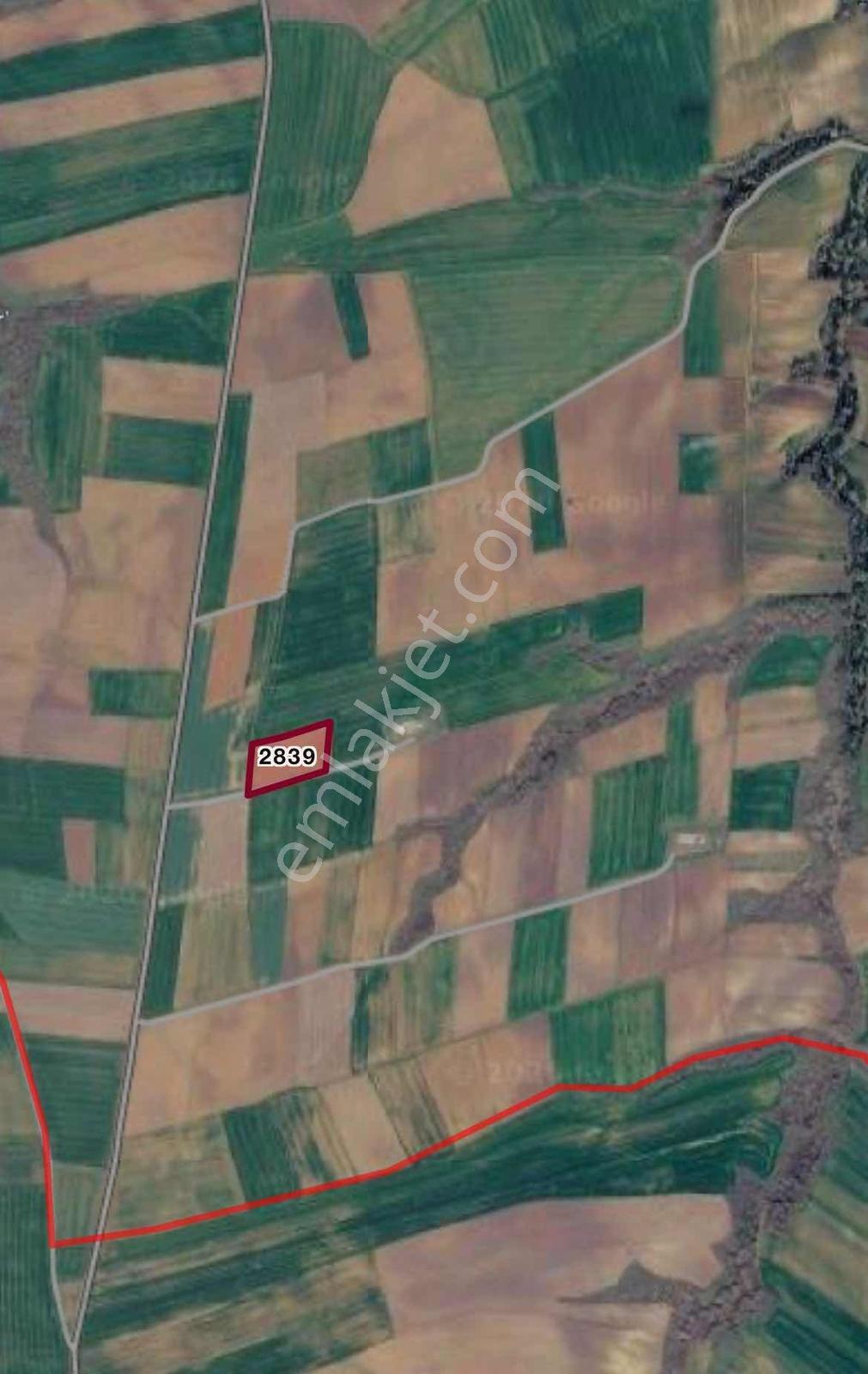 Muratlı-yeşilsırt Mah'de 9800 M2 Uygun Fiyat Satılık Arazi - Görsel 2