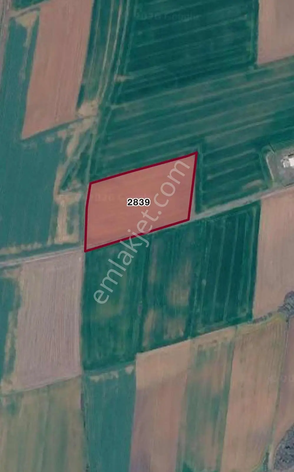 Muratlı-yeşilsırt Mah'de 9800 M2 Uygun Fiyat Satılık Arazi