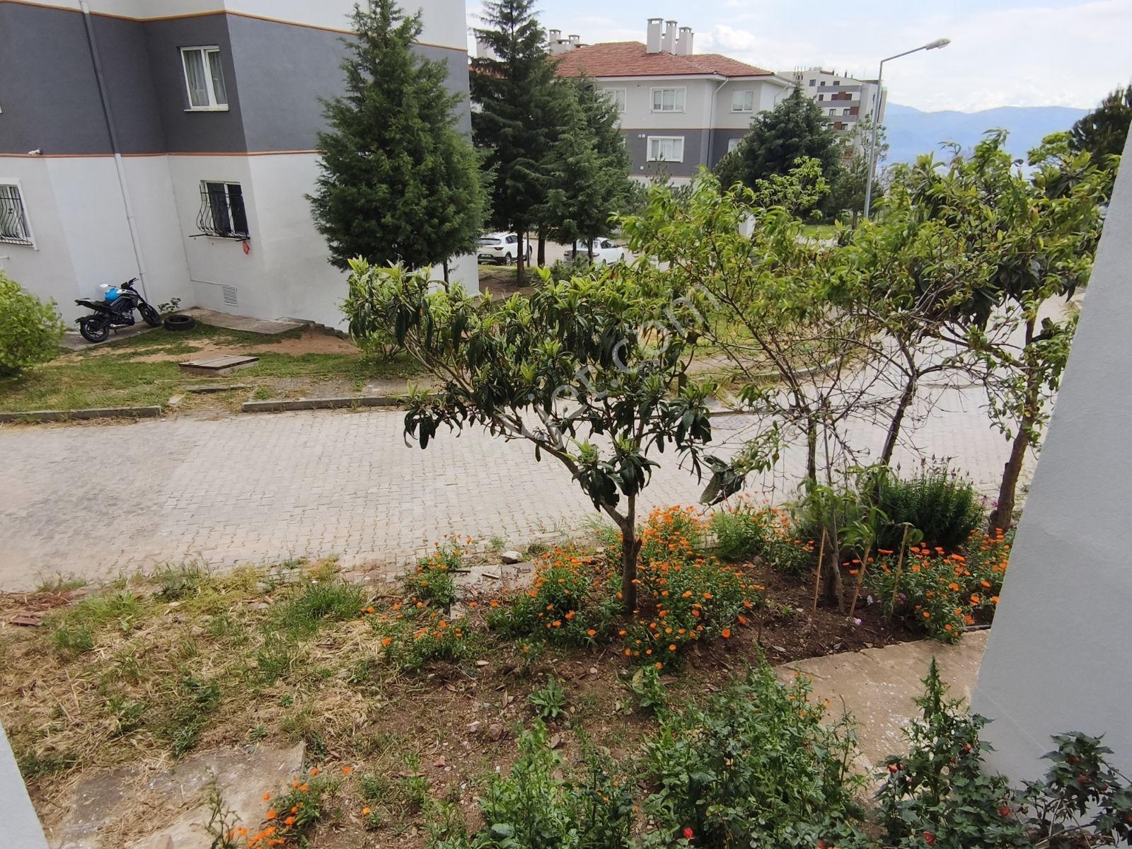İzmit Toki Arızlı Satılık 2+1 Deniz Manzaralı Yüksek Giriş Daire - Görsel 9