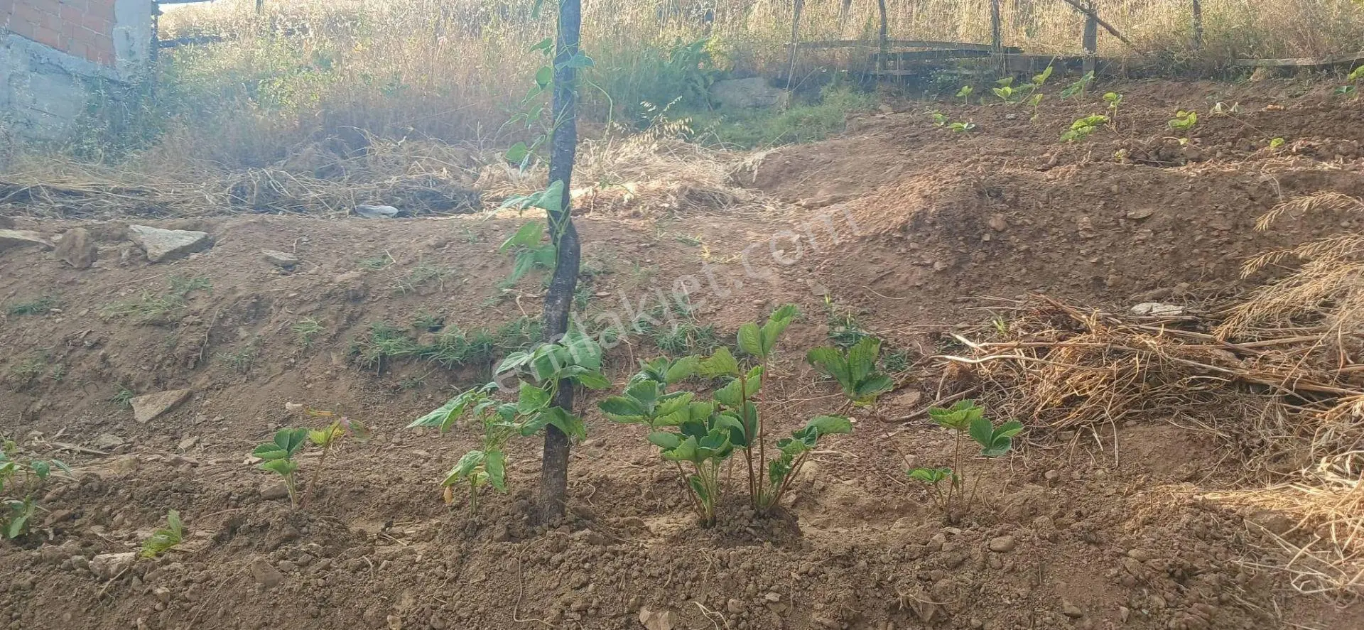 Bilecik Bozüyük Yeni Mahalle,de Satılık Arsa - Görsel 4