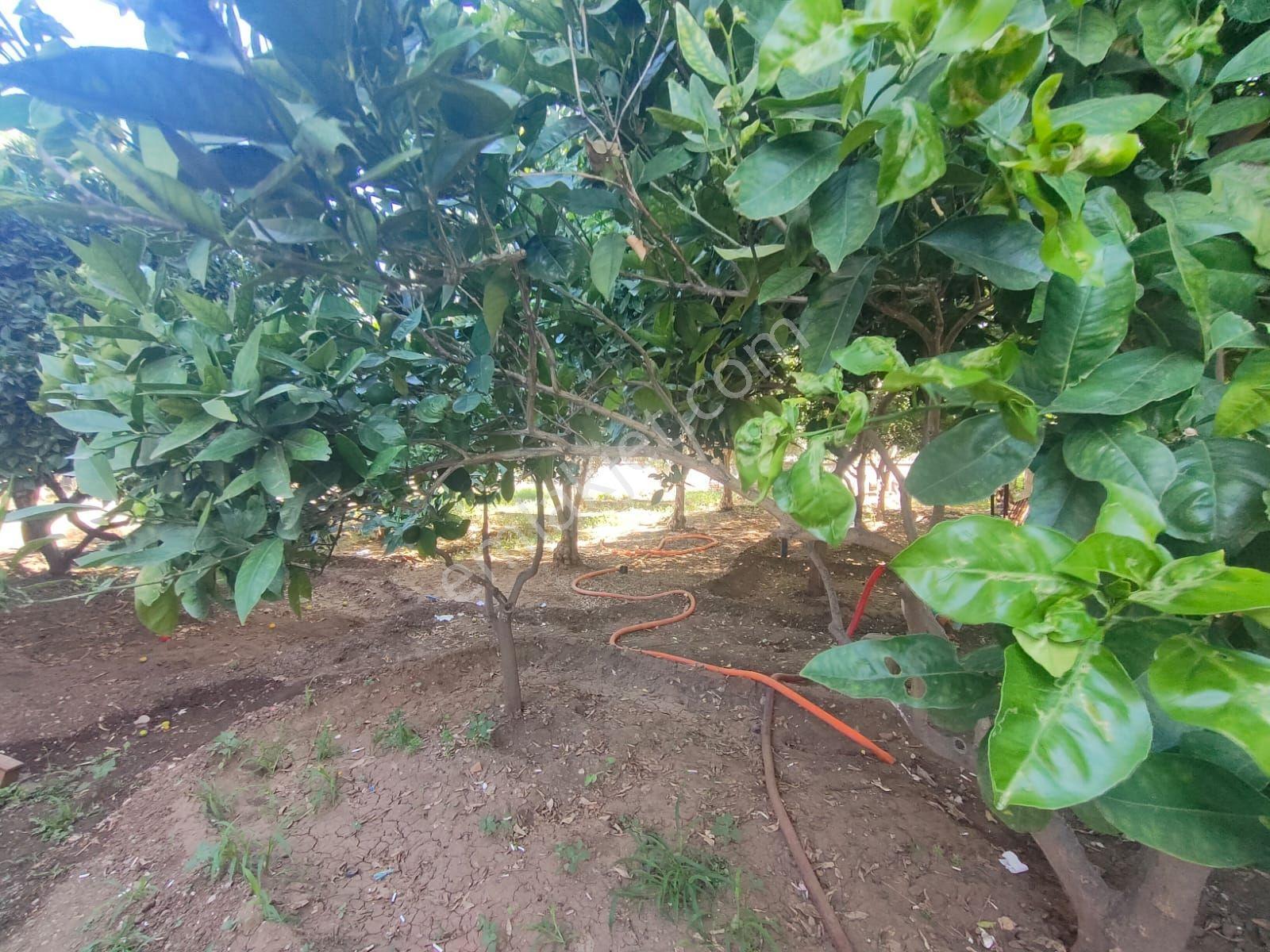 Fethiye Pazaryeri Mah.de İlkon'dan Kiralık 2+1 Eşyasız Daire - Görsel 8