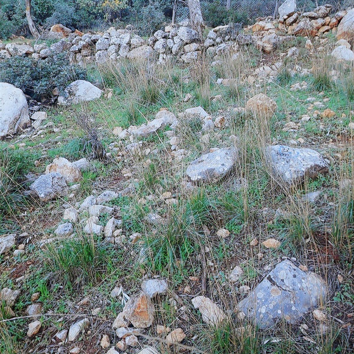 Kaş Kalkan Yeşilköy'de Satılık Arsa - Görsel 2