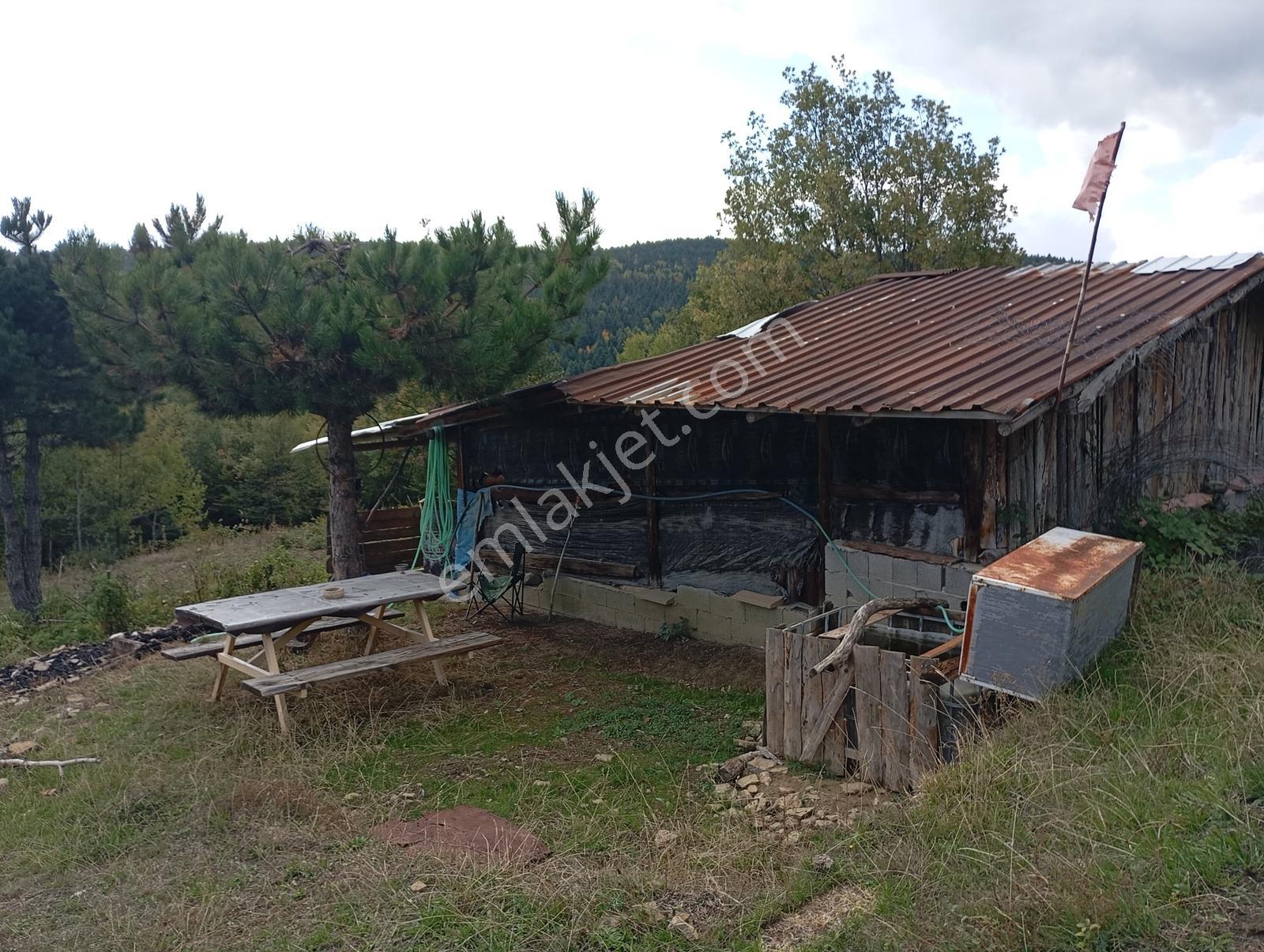 Elit Emlak'tan Kırıklar Köyünde 12 Dönüm Tarla+ Ev - Görsel 2