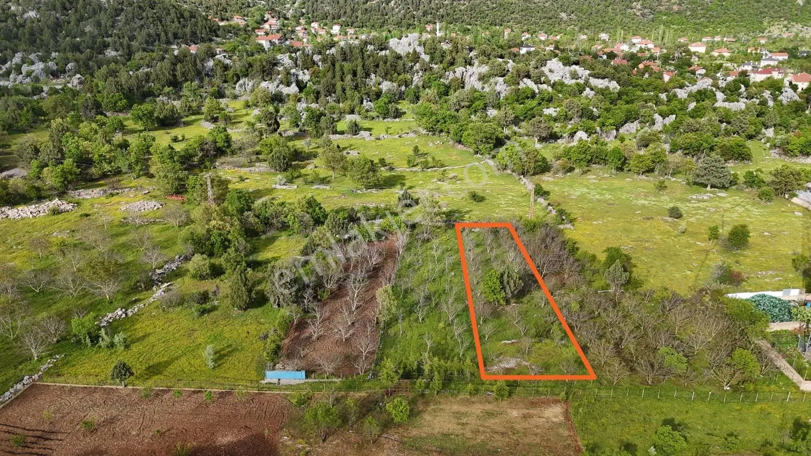 Değirmenlik'te Satılık Fırsat Ceviz Bahçesi-elektrik Su Yol Var - Görsel 5