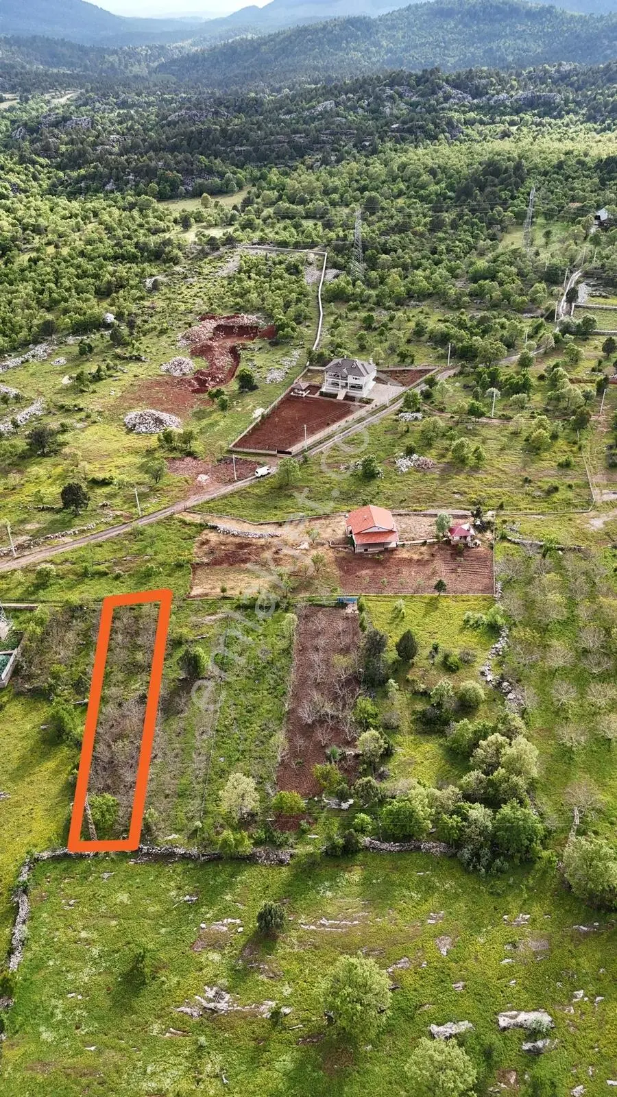 Değirmenlik'te Satılık Fırsat Ceviz Bahçesi-elektrik Su Yol Var - Görsel 9