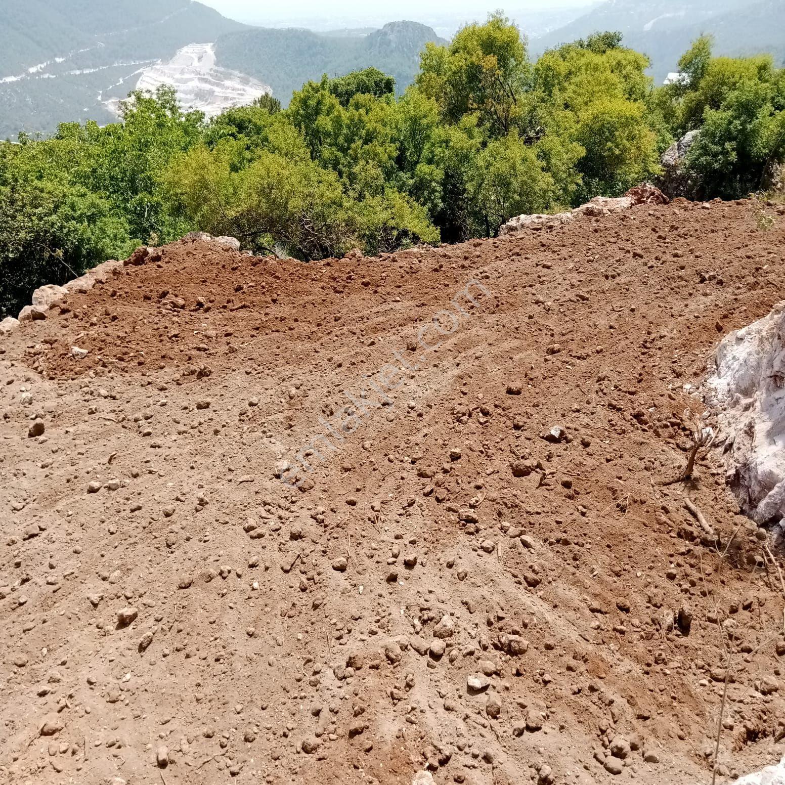 645 M² Köy Yerleşim Alanı İçinde Yerimiz