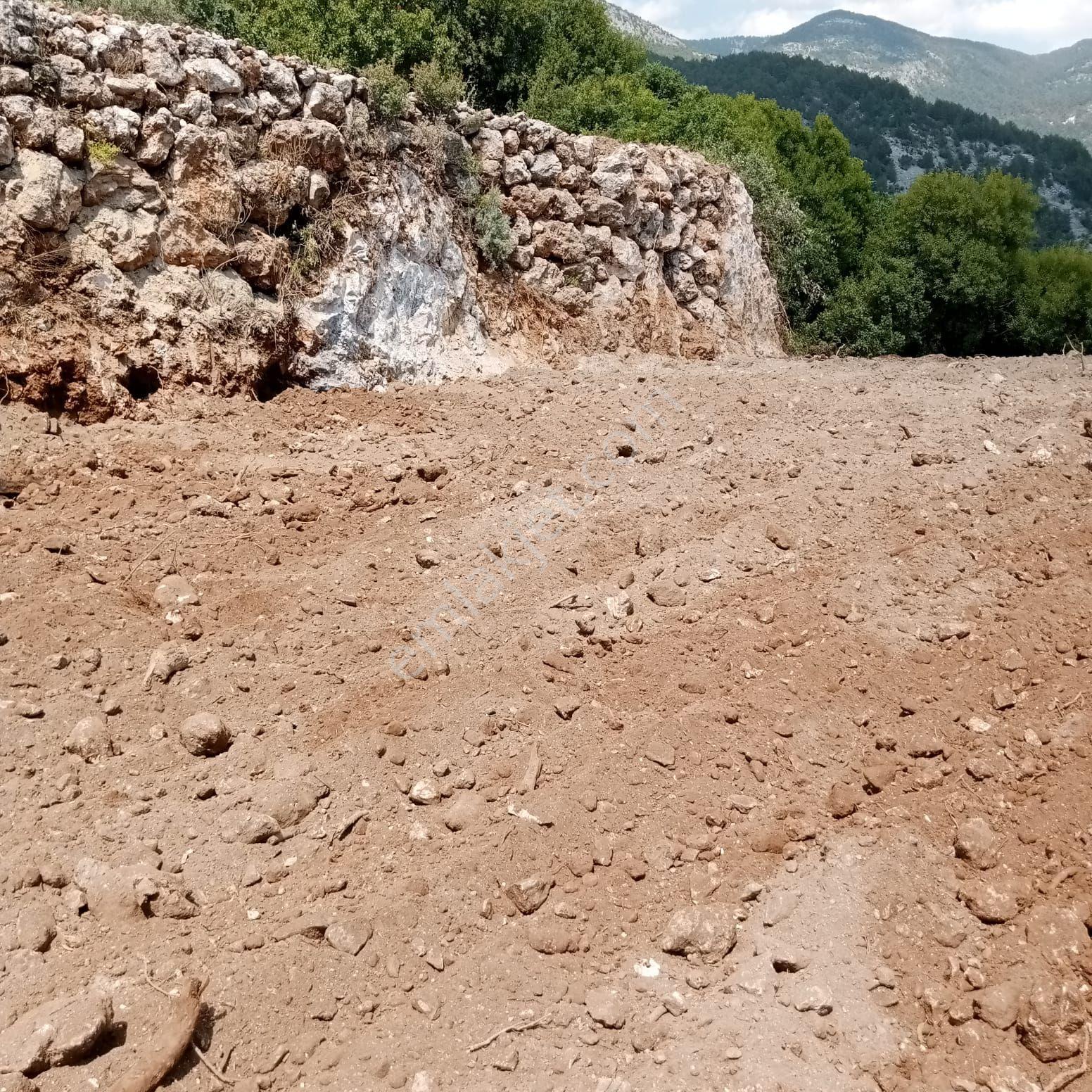 645 M² Köy Yerleşim Alanı İçinde Yerimiz - Görsel 3