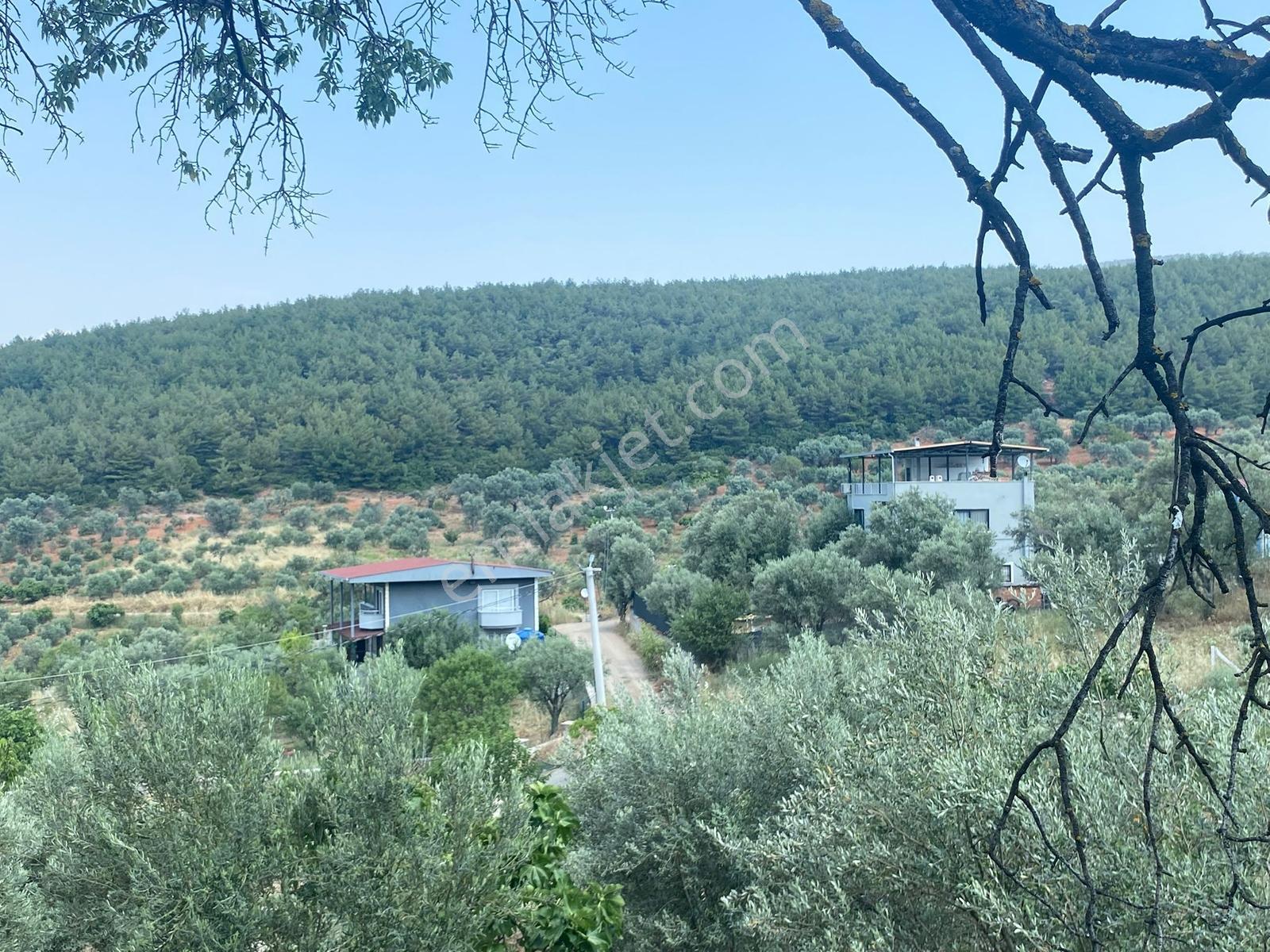 Ulucak İmar Alanına 650 Mt Uzaklıkta Satılık - Görsel 9