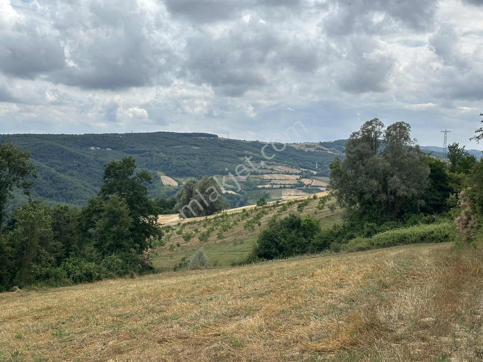 Deka Gayrimenkul'den İlkadım Kapaklı'da Yola Cephe 4313 M2 Tarla - Görsel 14