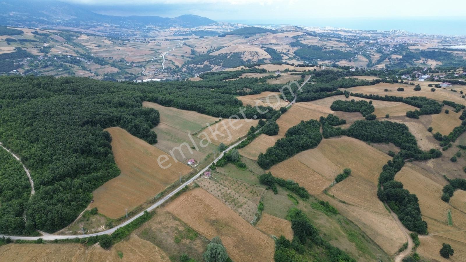 Deka Gayrimenkul'den İlkadım Kapaklı'da Yola Cephe 4313 M2 Tarla - Görsel 23