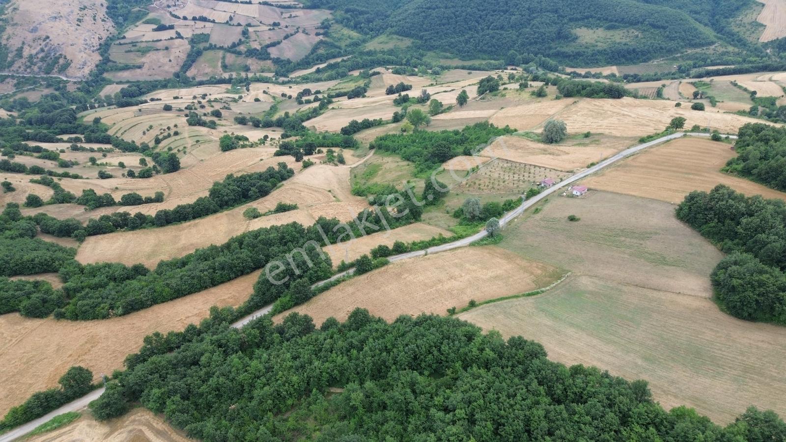 Deka Gayrimenkul'den İlkadım Kapaklı'da Yola Cephe 4313 M2 Tarla - Görsel 2