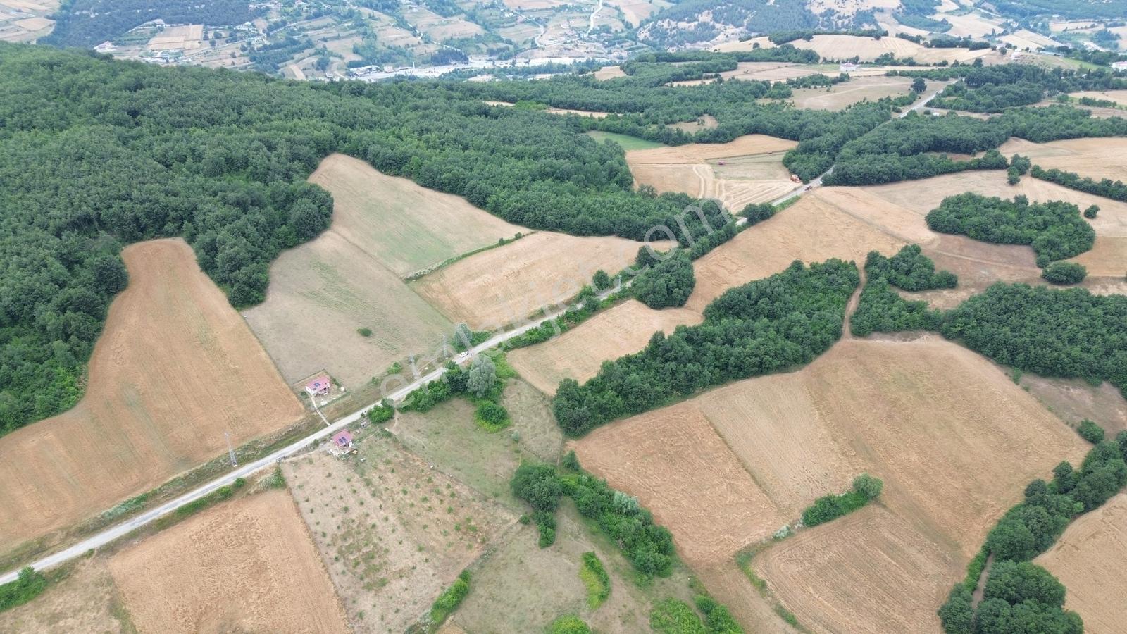 Deka Gayrimenkul'den İlkadım Kapaklı'da Yola Cephe 4313 M2 Tarla - Görsel 22