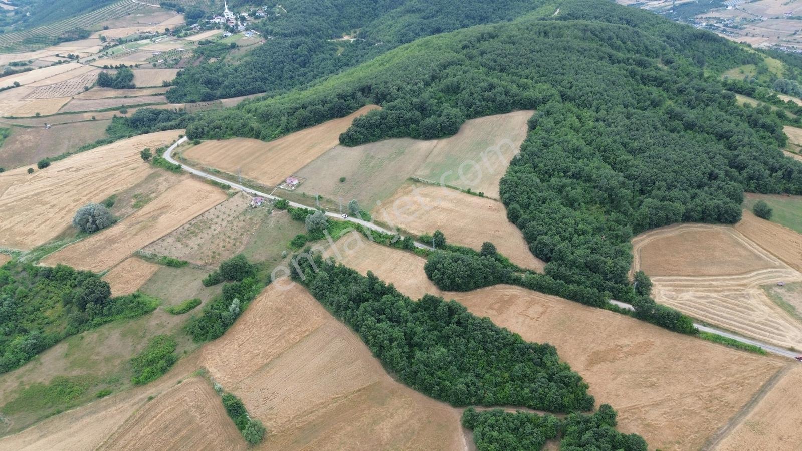 Deka Gayrimenkul'den İlkadım Kapaklı'da Yola Cephe 4313 M2 Tarla - Görsel 21