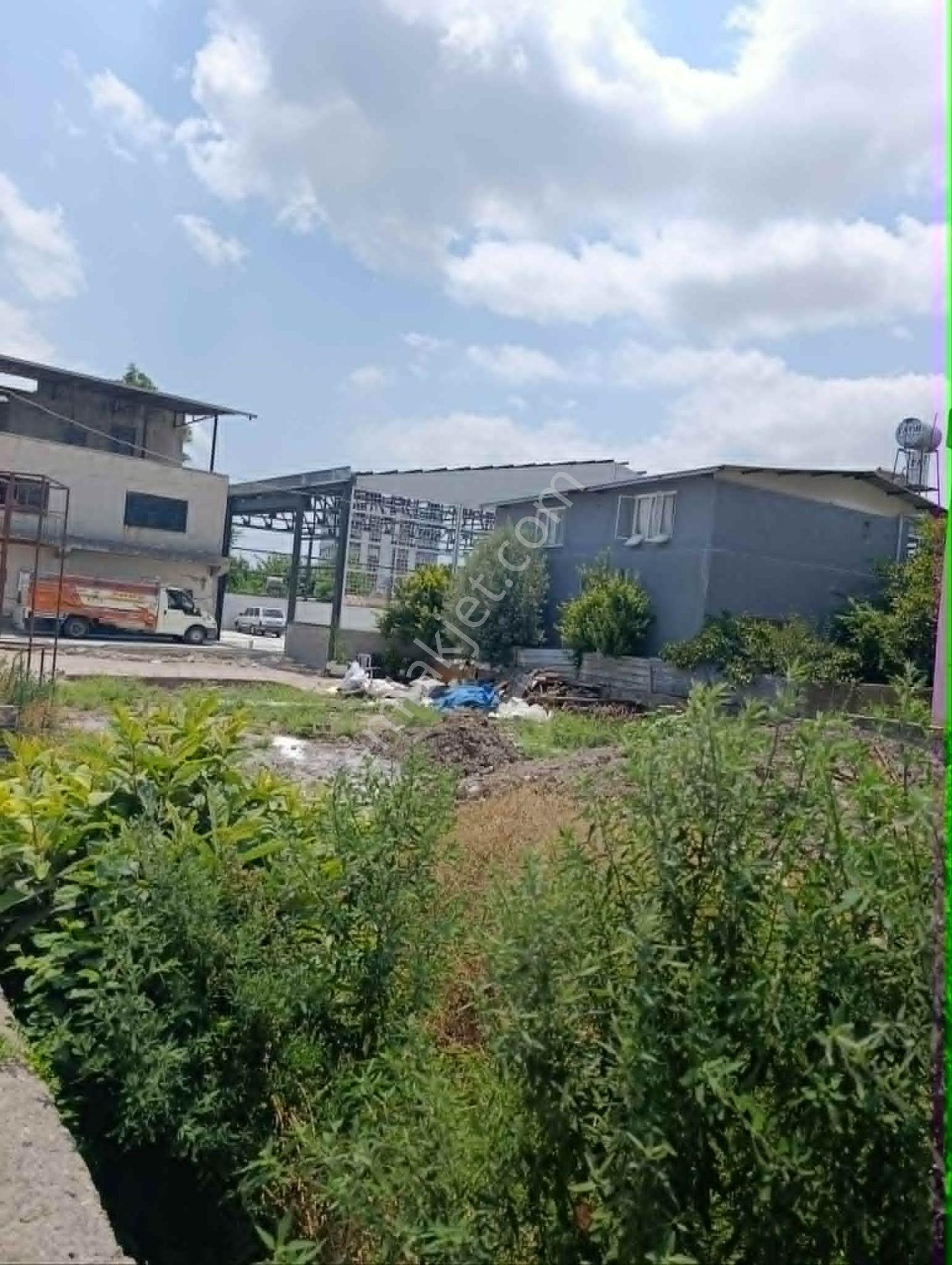 Çınar Emlak'tan Ceyhan Lisesi Civarı Satılık 667 Mt Arsa - Görsel 10