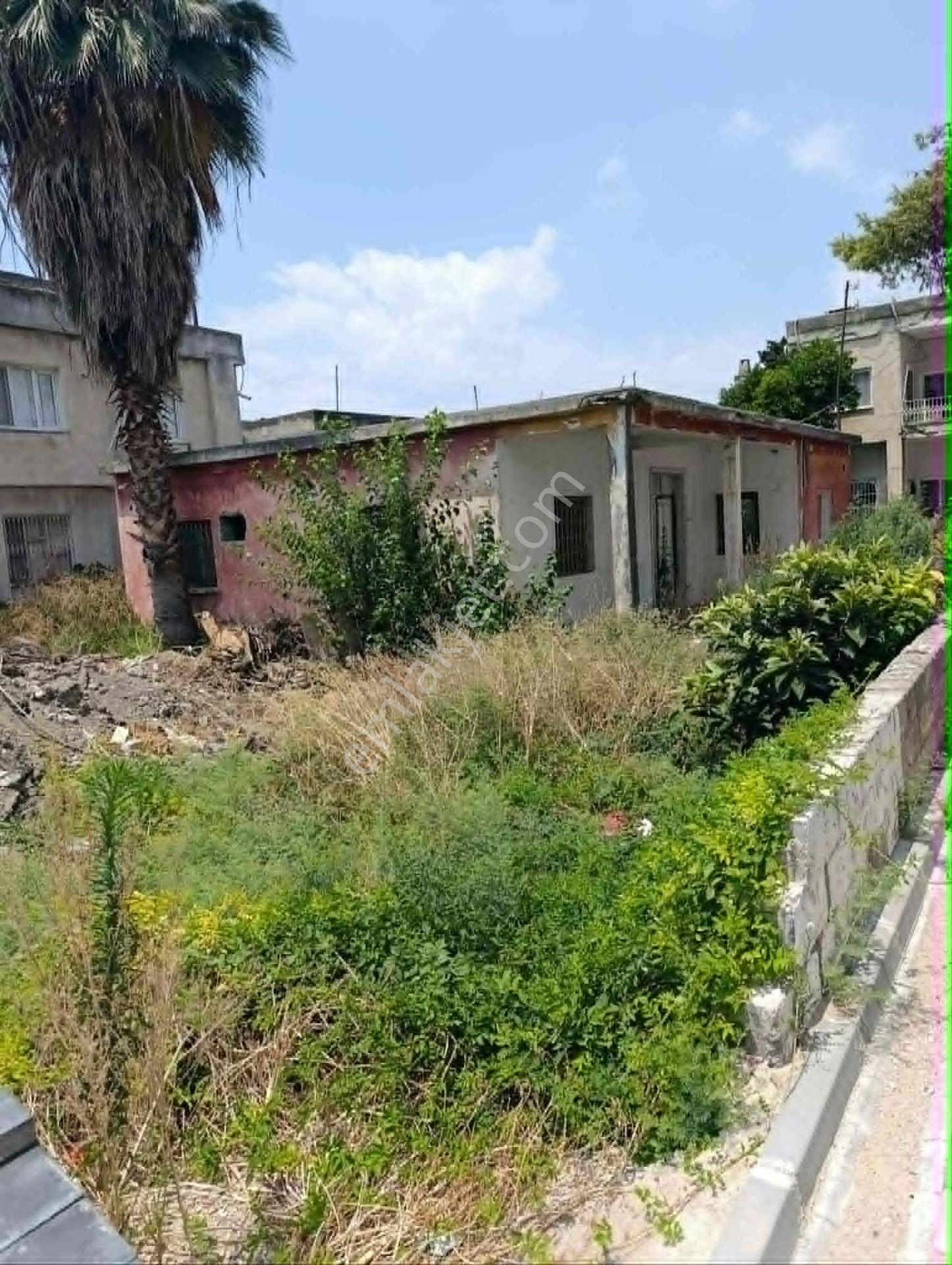 Çınar Emlak'tan Ceyhan Lisesi Civarı Satılık 667 Mt Arsa - Görsel 5