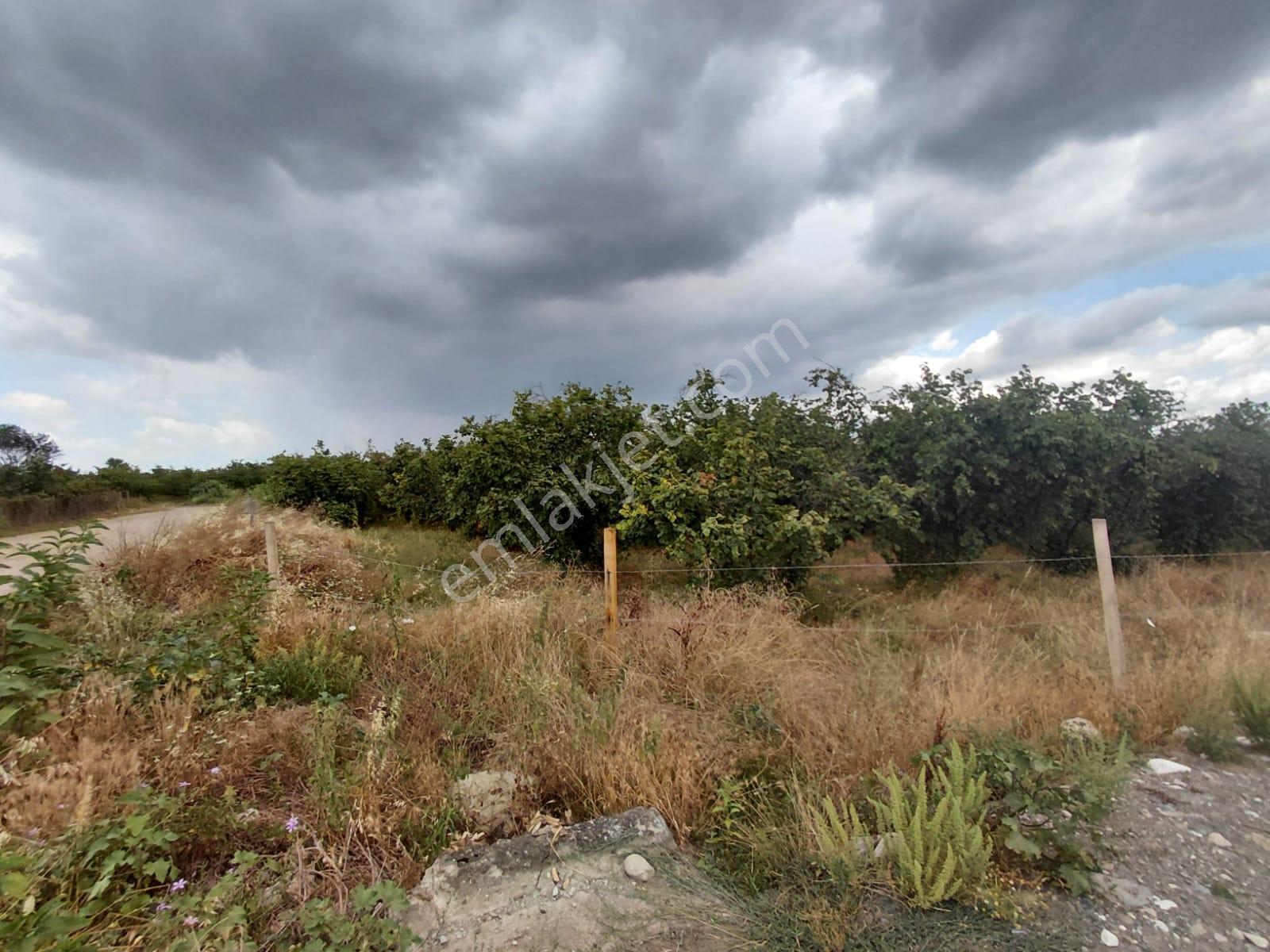 Karapürçek Merkezde 546 M2 3 Kat Konut İmarlı Satılık Arsa - Görsel 30