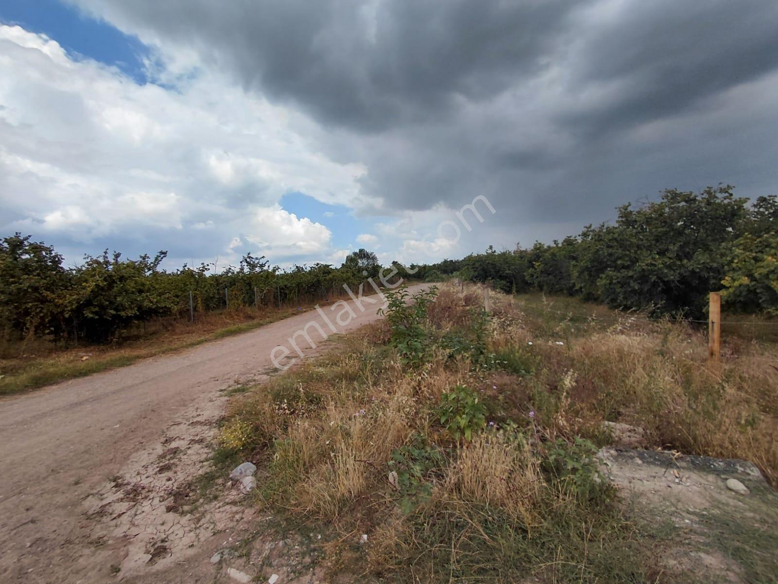 Karapürçek Merkezde 546 M2 3 Kat Konut İmarlı Satılık Arsa - Görsel 8
