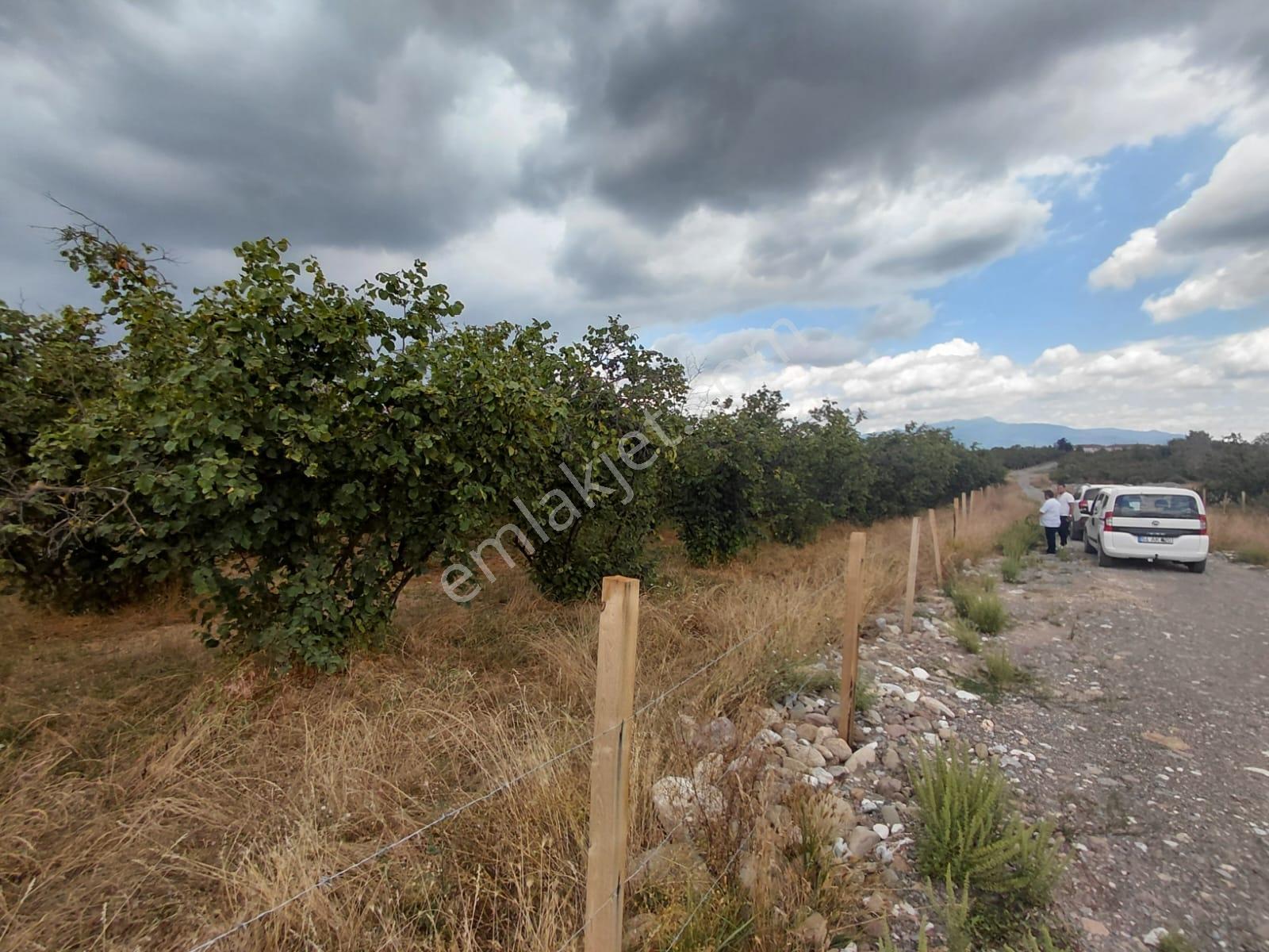 Karapürçek Merkezde 546 M2 3 Kat Konut İmarlı Satılık Arsa - Görsel 33