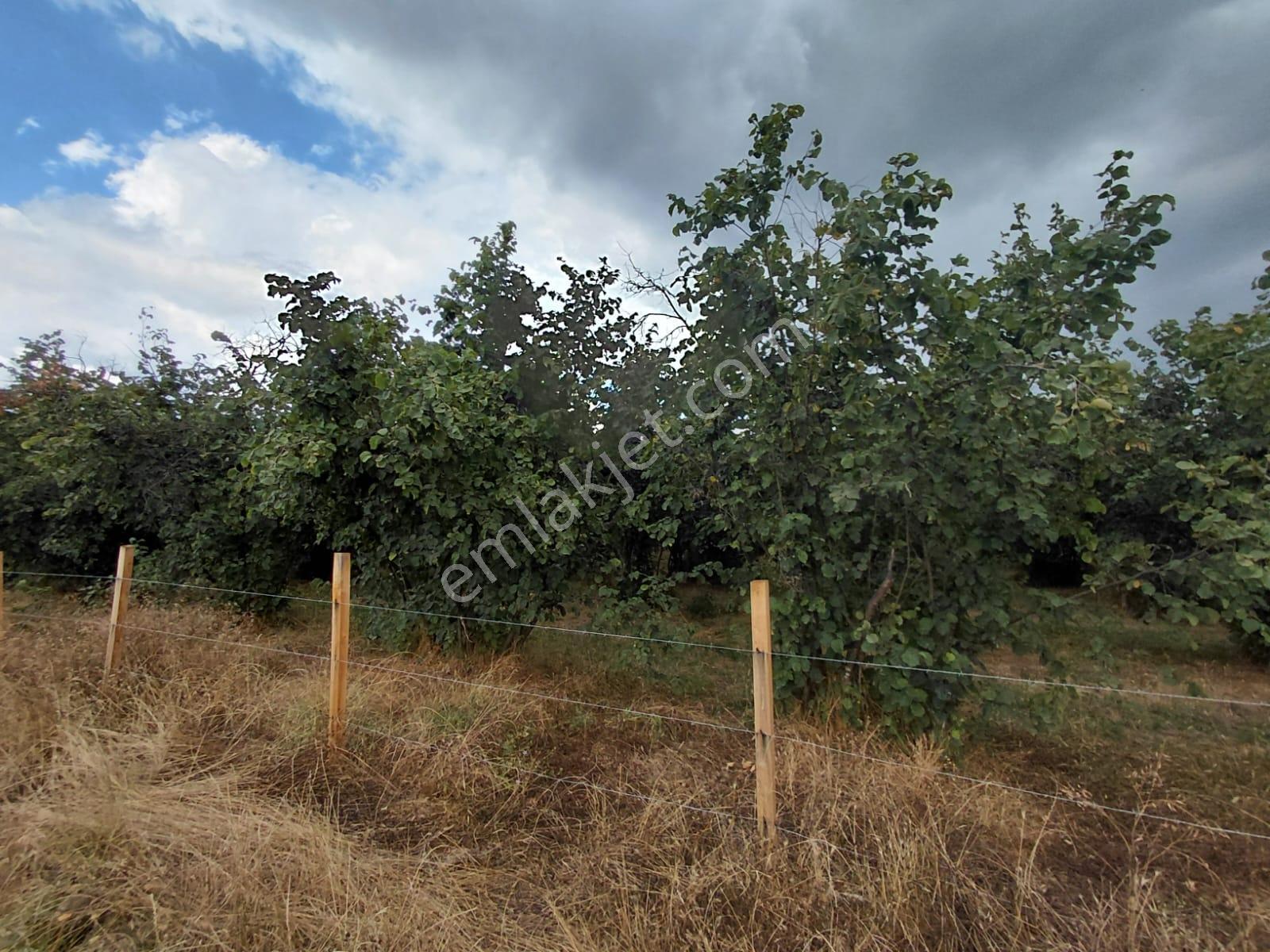 Karapürçek Merkezde 546 M2 3 Kat Konut İmarlı Satılık Arsa - Görsel 26