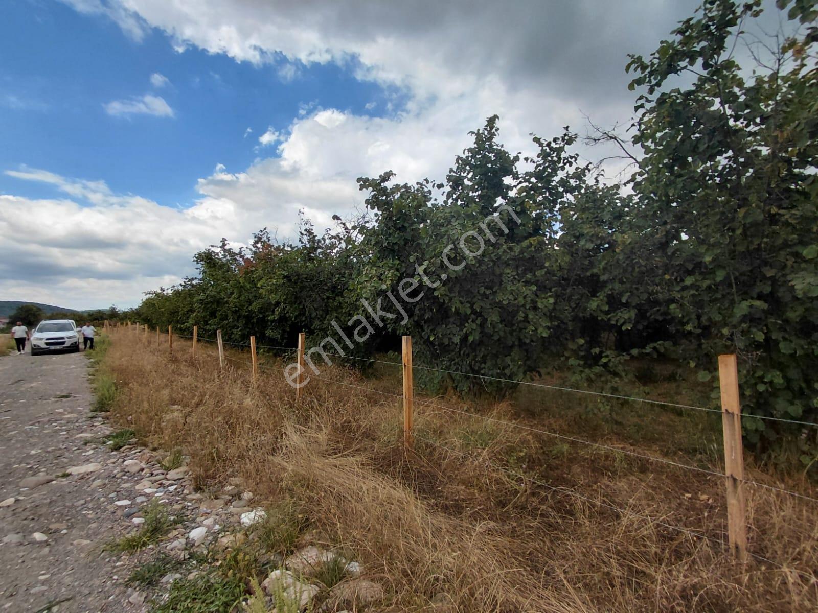 Karapürçek Merkezde 546 M2 3 Kat Konut İmarlı Satılık Arsa - Görsel 20
