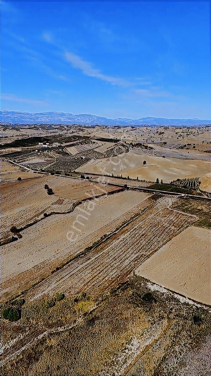 Salbaş Merkeze 5dk_çakıt Mevki_ana Yol Üzeri 31774m2 Tarla..! - Görsel 2