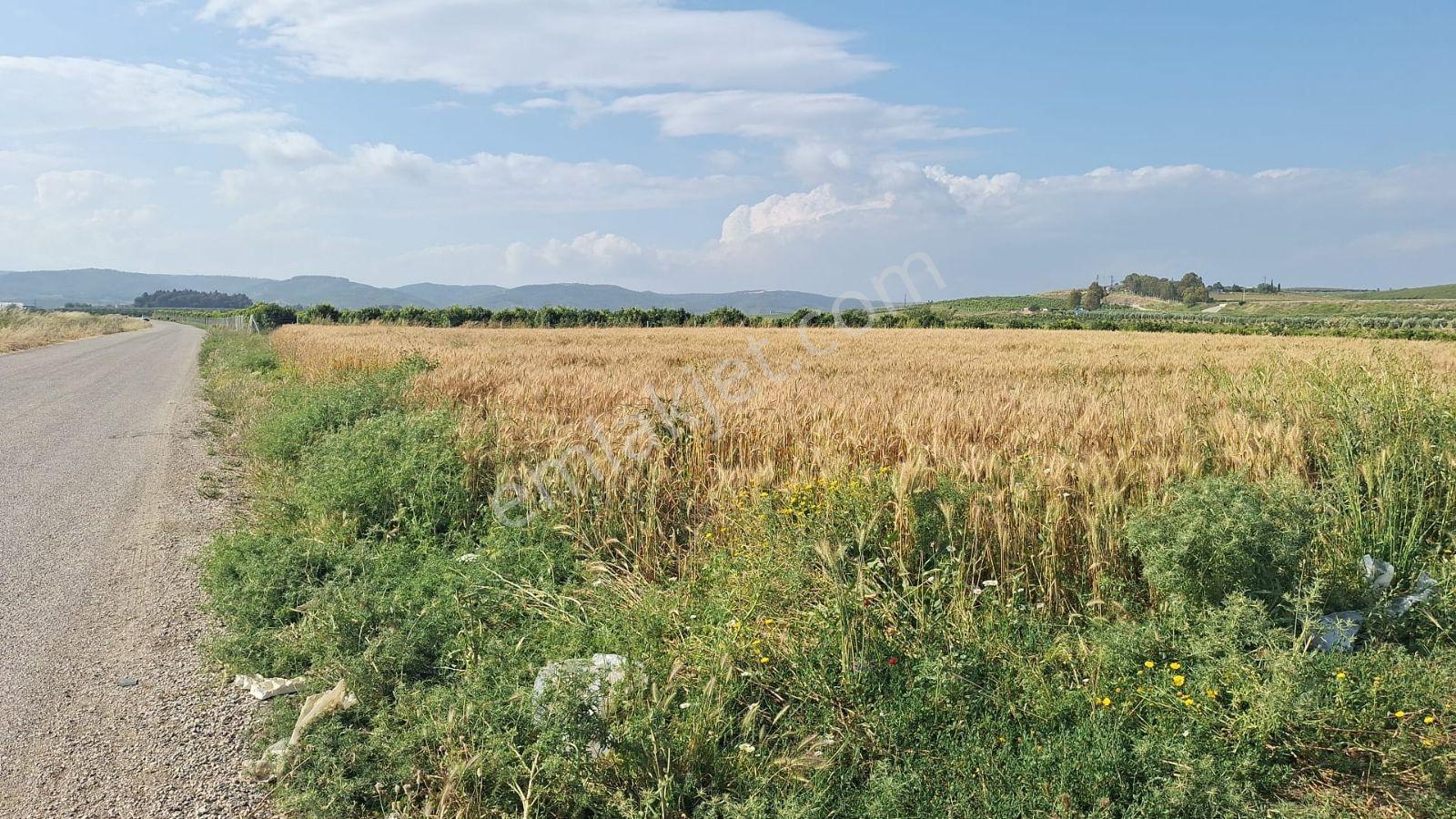 Yumurtalık_yeniköy Yolu Üzeri Sorunsuz Tektapu Kaçırılmaz Fırsat - Görsel 2