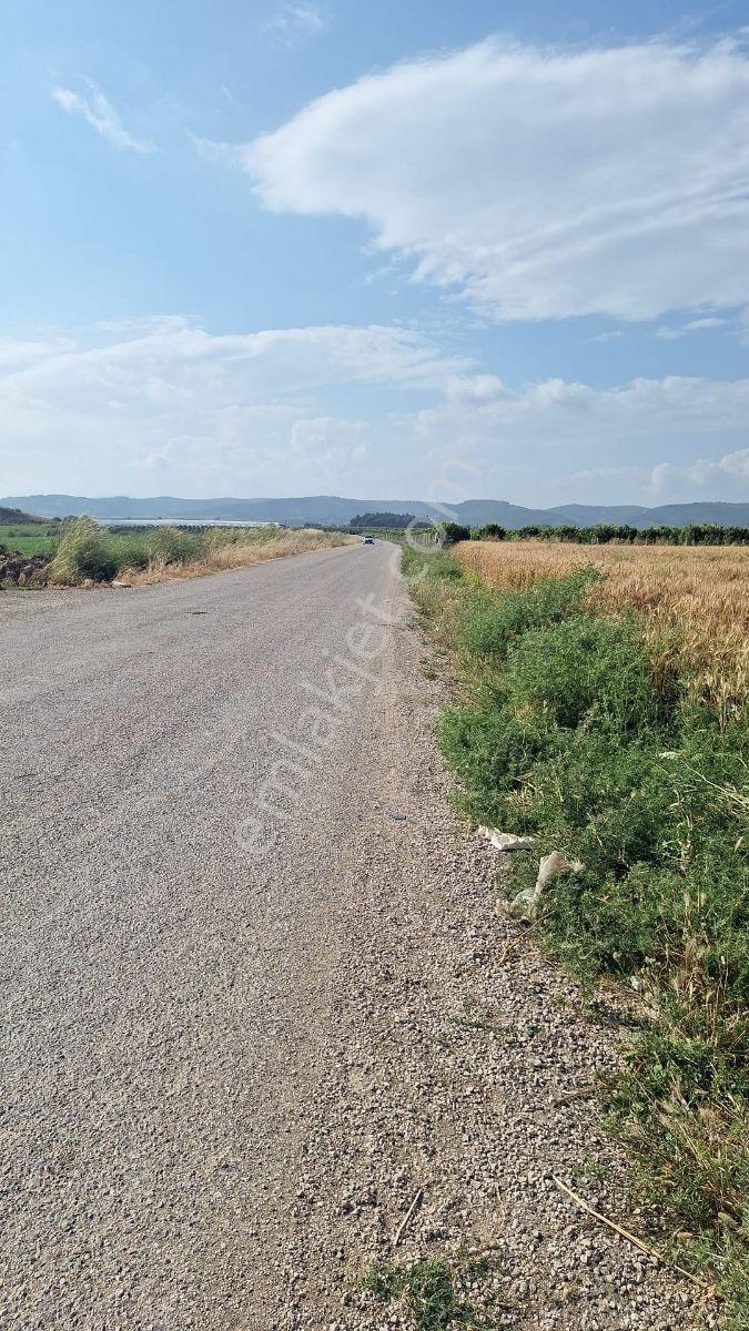 Yumurtalık_yeniköy Yolu Üzeri Sorunsuz Tektapu Kaçırılmaz Fırsat - Görsel 5