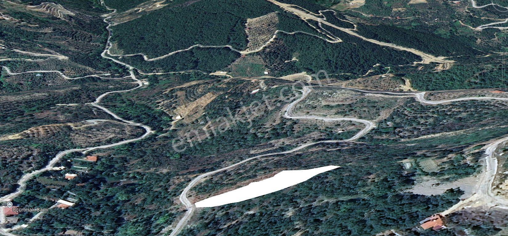 Alanya Mahmutseydi Mahallesi'nde Satılık 3.000 M² Yatırımlık Tarla - Görsel 5