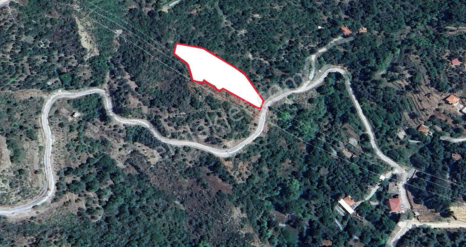 Alanya Mahmutseydi Mahallesi'nde Satılık 3.000 M² Yatırımlık Tarla