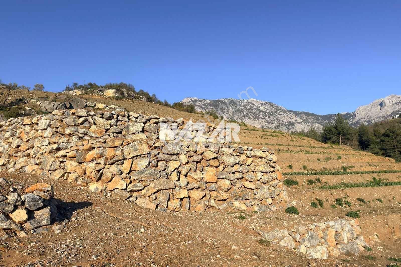 Alanya Sapadere’de 12.932 M² Satılık Tarla - Görsel 14
