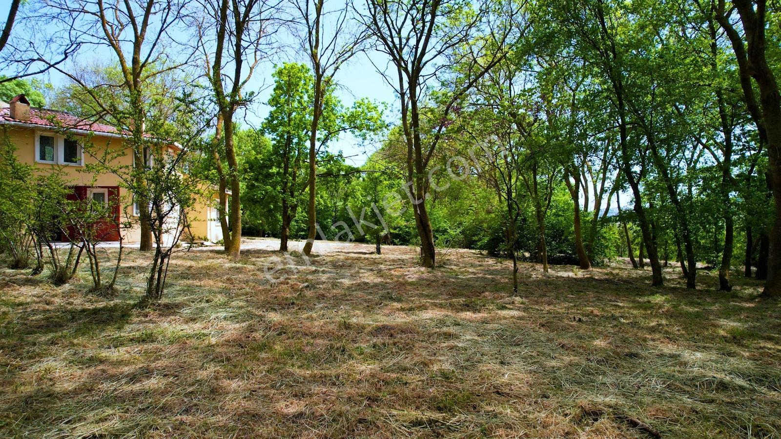 Çatalca Dağyenice 8.935 M² Arazi İçinde Satılık Müstakil Villa - Görsel 8