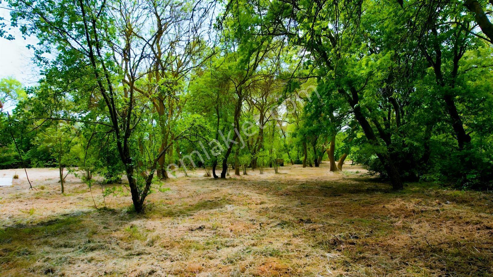 Çatalca Dağyenice 8.935 M² Arazi İçinde Satılık Müstakil Villa - Görsel 32