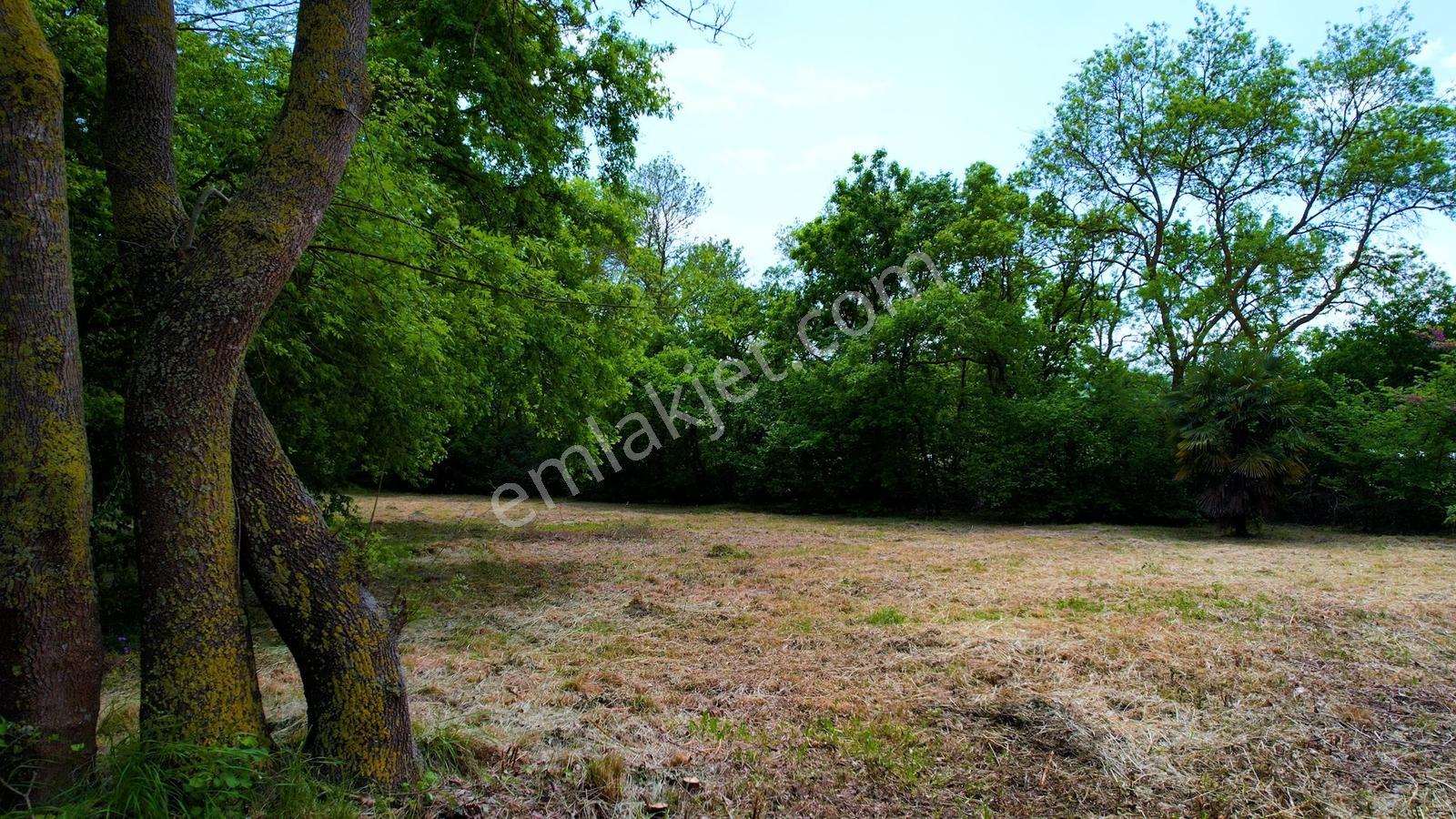 Çatalca Dağyenice 8.935 M² Arazi İçinde Satılık Müstakil Villa - Görsel 14