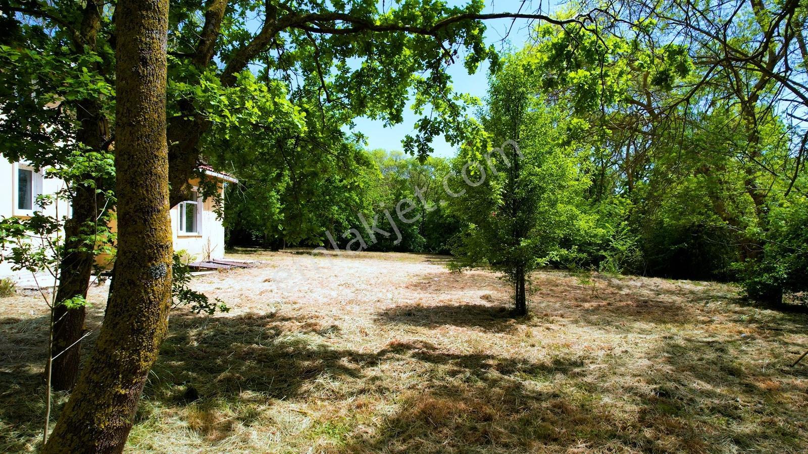 Çatalca Dağyenice 8.935 M² Arazi İçinde Satılık Müstakil Villa - Görsel 35