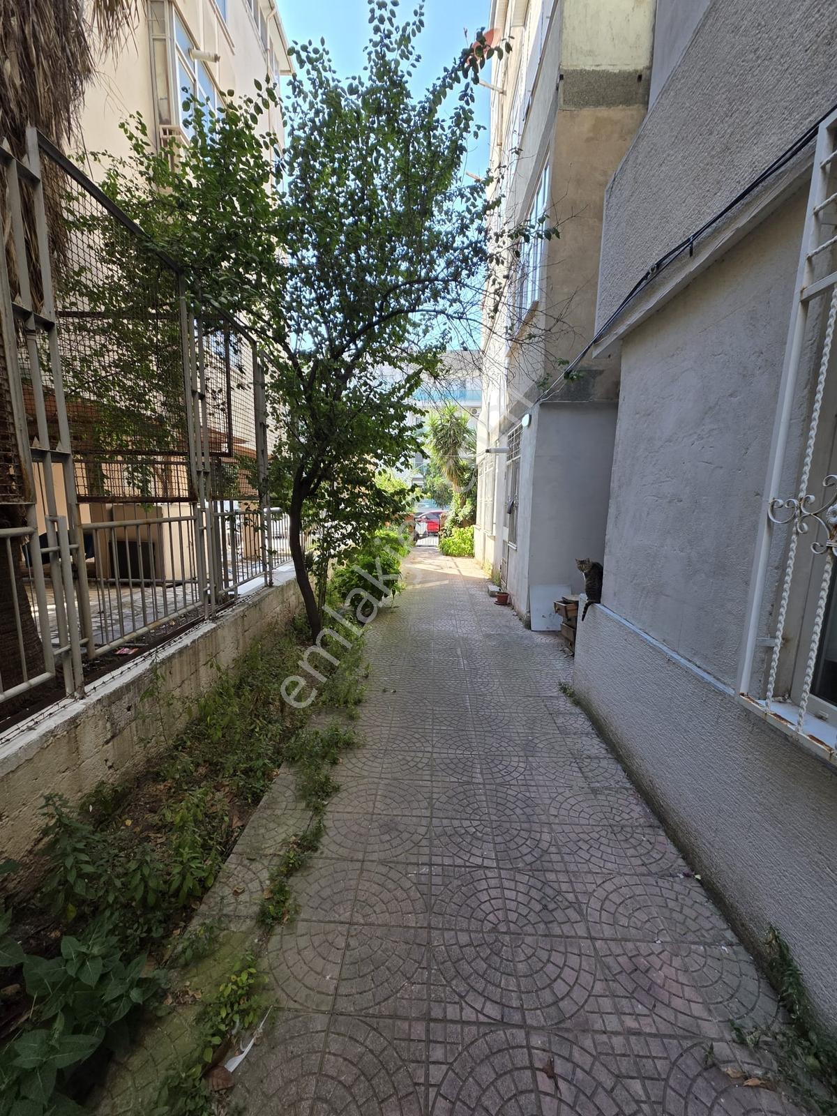 Basın Sitesi'nin En Nezih Sokağında 3+1 Masrafsız Daire - Görsel 21