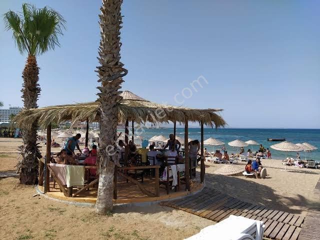 Muğla Bodrum Milas Boğaziçi Adabükü Plajlı Sitede Bahçe Katı - Görsel 35