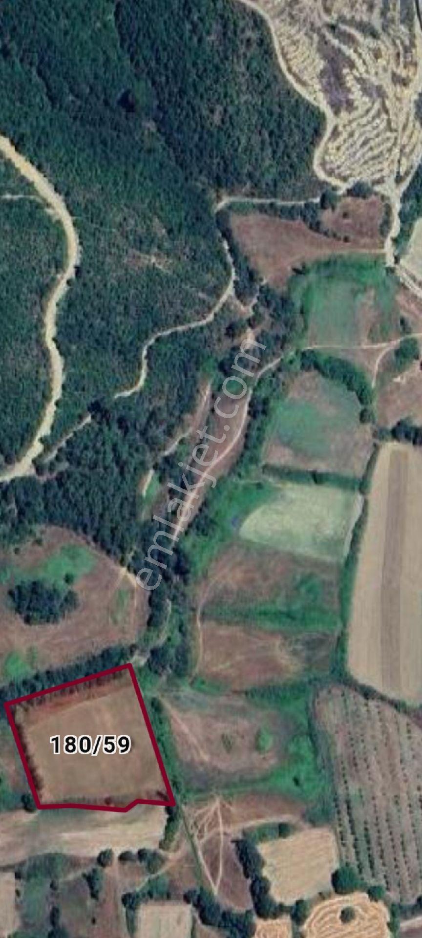Çanakkale Yenice Hıdırlar Köyünde Doğal Termale Yakın Satılık Tarla - Görsel 11