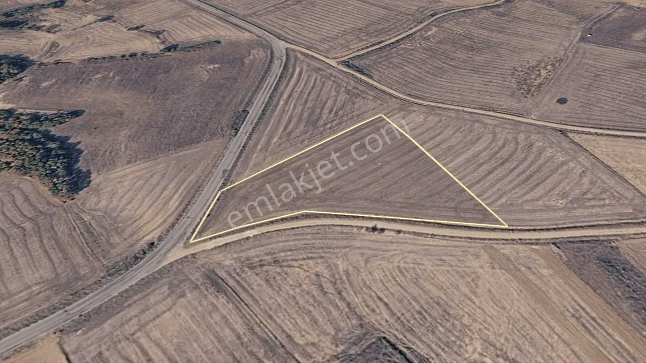 Edirne Meriç Rahmanca Köyü Satılık Tarla 5.363 M² - Görsel 20