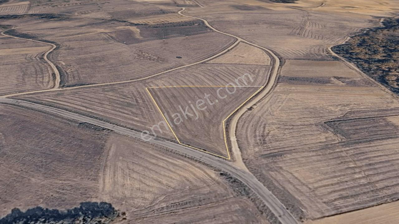Edirne Meriç Rahmanca Köyü Satılık Tarla 5.363 M² - Görsel 9
