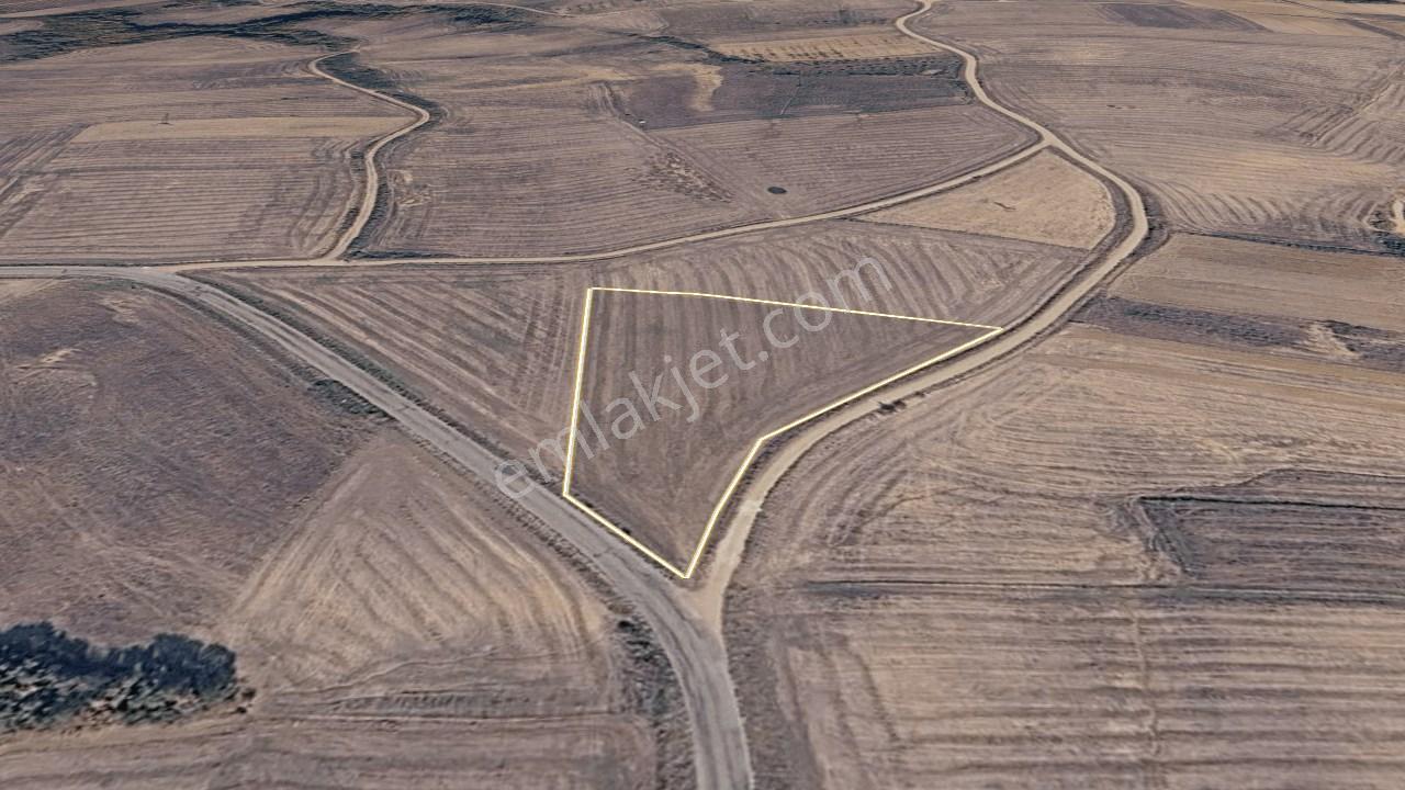 Edirne Meriç Rahmanca Köyü Satılık Tarla 5.363 M² - Görsel 11