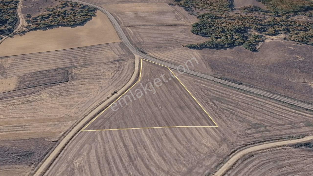 Edirne Meriç Rahmanca Köyü Satılık Tarla 5.363 M² - Görsel 7