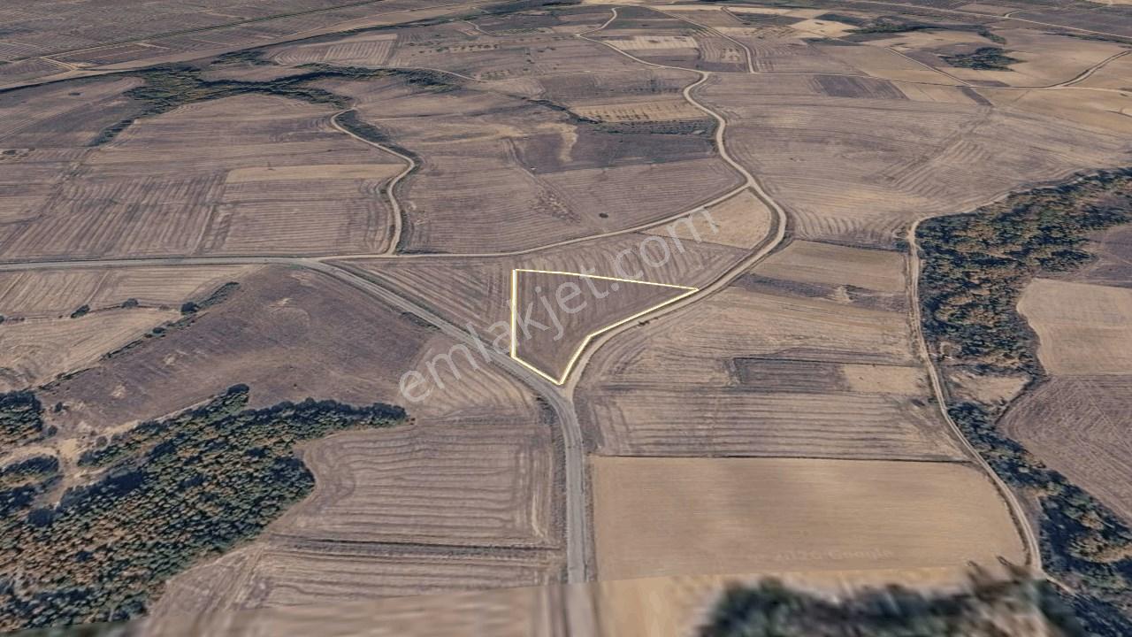 Edirne Meriç Rahmanca Köyü Satılık Tarla 5.363 M² - Görsel 18