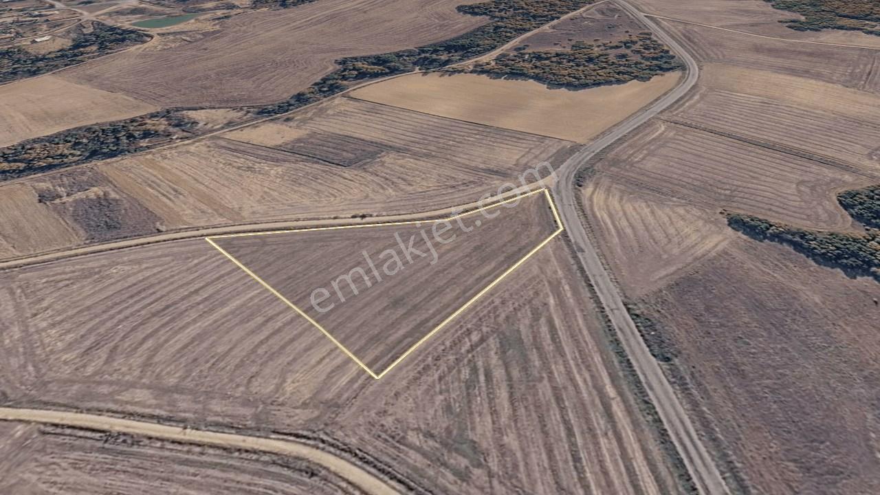 Edirne Meriç Rahmanca Köyü Satılık Tarla 5.363 M² - Görsel 22