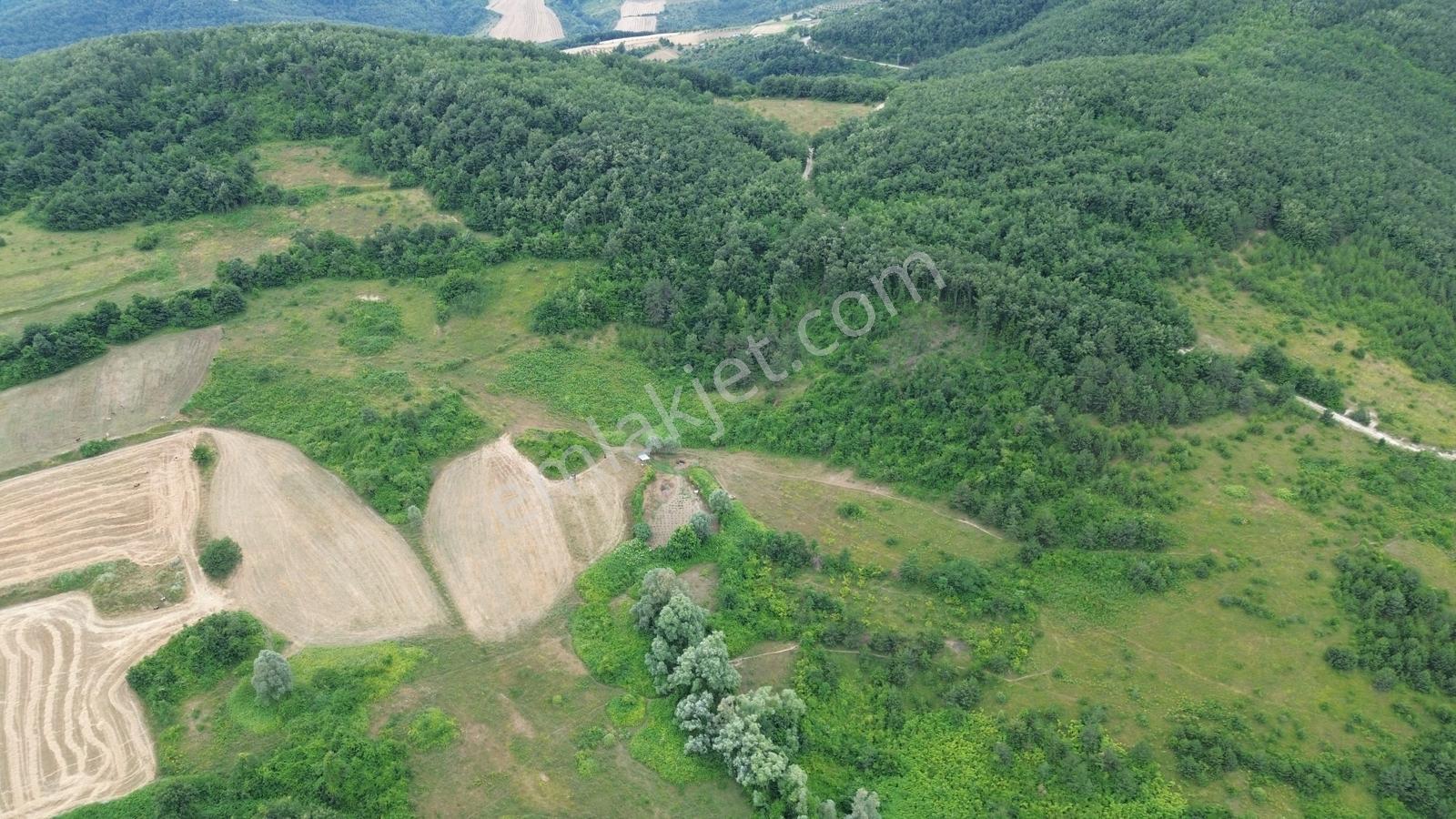 Deka Gayrimenkul'den İlkadım Kapaklı'da Satılık 13.305 M² Tarla - Görsel 2