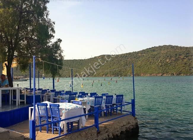 Muğla Bodrum Milas Boğaziçi Adabükünde Bakımlı Havuz Önü Daire - Görsel 12