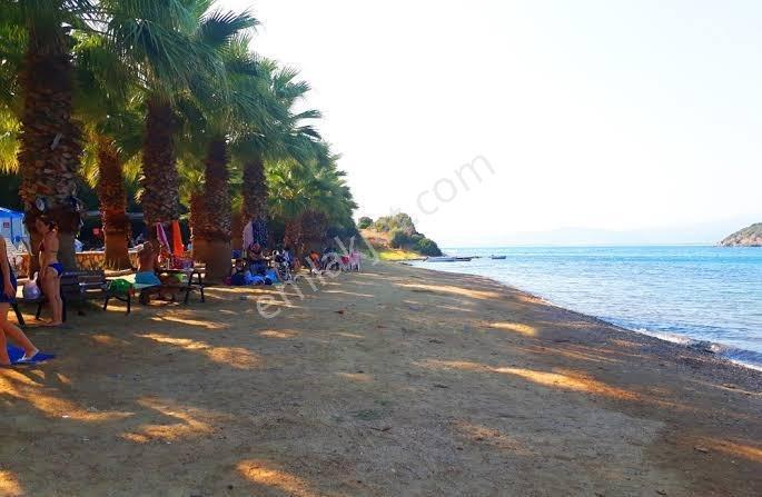 Muğla Bodrum Milas Boğaziçi Adabükünde Bakımlı Havuz Önü Daire - Görsel 10