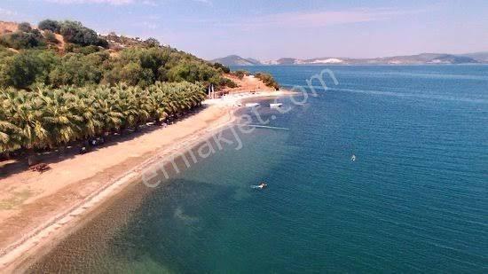 Muğla Bodrum Milas Boğaziçi Adabükünde Bakımlı Havuz Önü Daire - Görsel 4