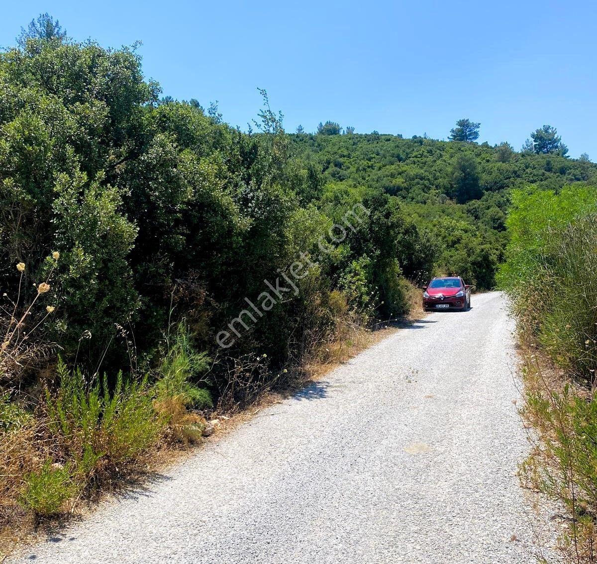 Urla Torasan’da Asfalt Cepheli, Deniz Manzaralı, Eşsiz Arazi - Görsel 16